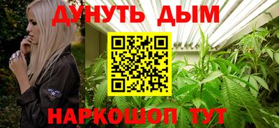 гашик Тулун