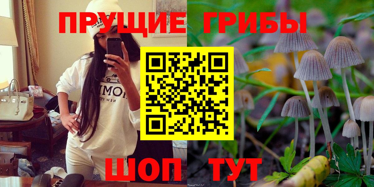 Саратов  Псилоцибиновые грибы ЛСД  Вход с VPN 