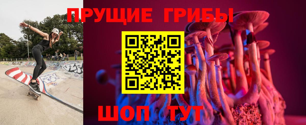 Галлюциногенные грибы Cubensis Саратов
